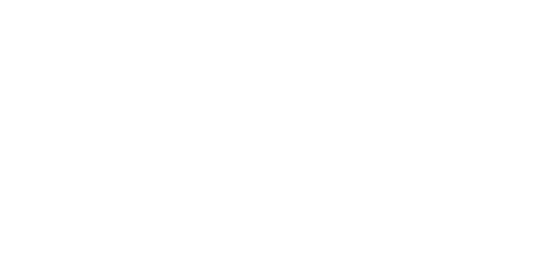 Elegans Group Logo